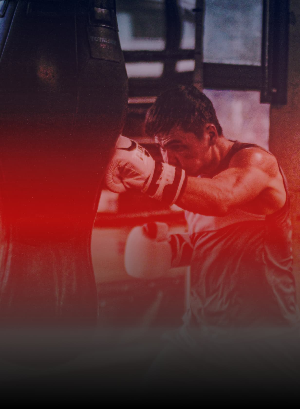 UFC background